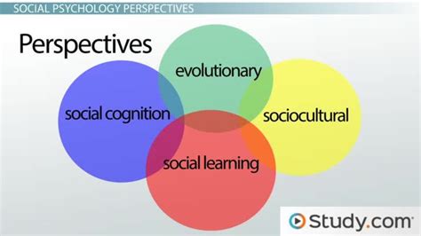 what does highest level of education mean, and how does it shape individual perspectives and societal contributions?